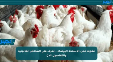 عقوبة حمل الأسلحة البيضاء.. تعرف على المخاطر القانونية والتفاصيل الآن